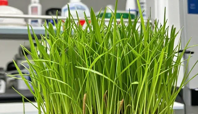 企业信息化系统性能瓶颈及运维托管处理方向
